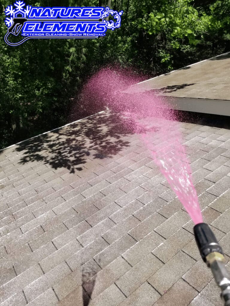 cary roof cleaning near me